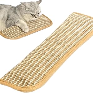 Catnip Toys for Indoor Cats - Cat Toys Pack of 3, Sisal Scratching Pad, Bite Resistant Kitten Teething Toys, Interactive Cat Nip Kicker Toys for Anxiety Relief