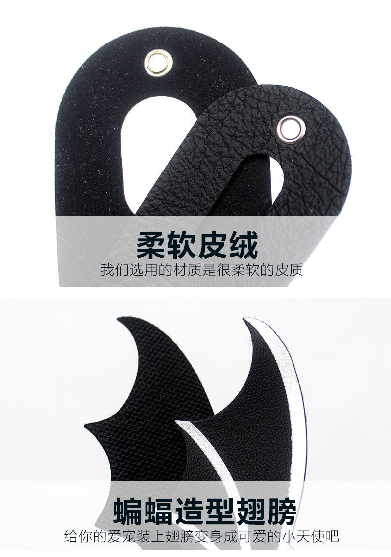 Lizard leash, chinchilla leash, outdoor pet leash -Customizable-Direct from the factory