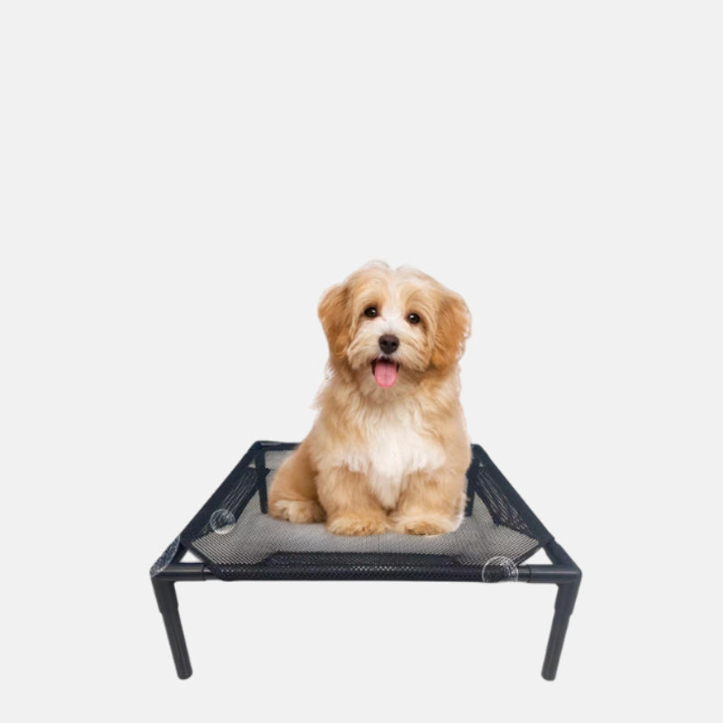 Portable camping bed for cats and dogs, with moisture-proof, removable, washable, and foldable design-Customizable-Direct from the factory,