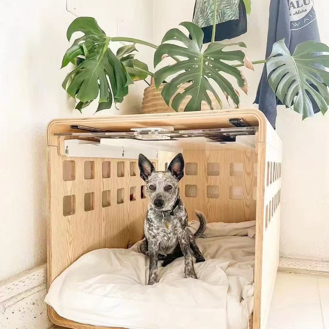 Creative Wooden Cat and Dog Bed Bedside Table Bedside Pet Bed Wooden Human and Pet Shared Integrated Storage Cabinet All Seasons