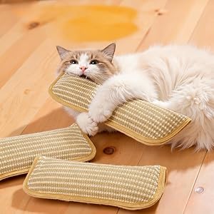 Catnip Toys for Indoor Cats - Cat Toys Pack of 3, Sisal Scratching Pad, Bite Resistant Kitten Teething Toys, Interactive Cat Nip Kicker Toys for Anxiety Relief