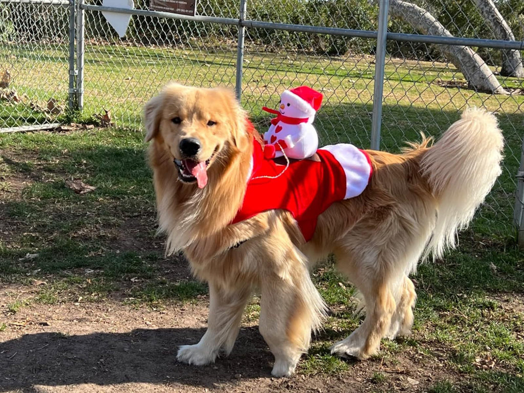 Pet Dog Christmas Costume Santa Claus Riding Outfit Christmas Pet Clothes Reindeer Riding Outfit Pet Christmas Supplies