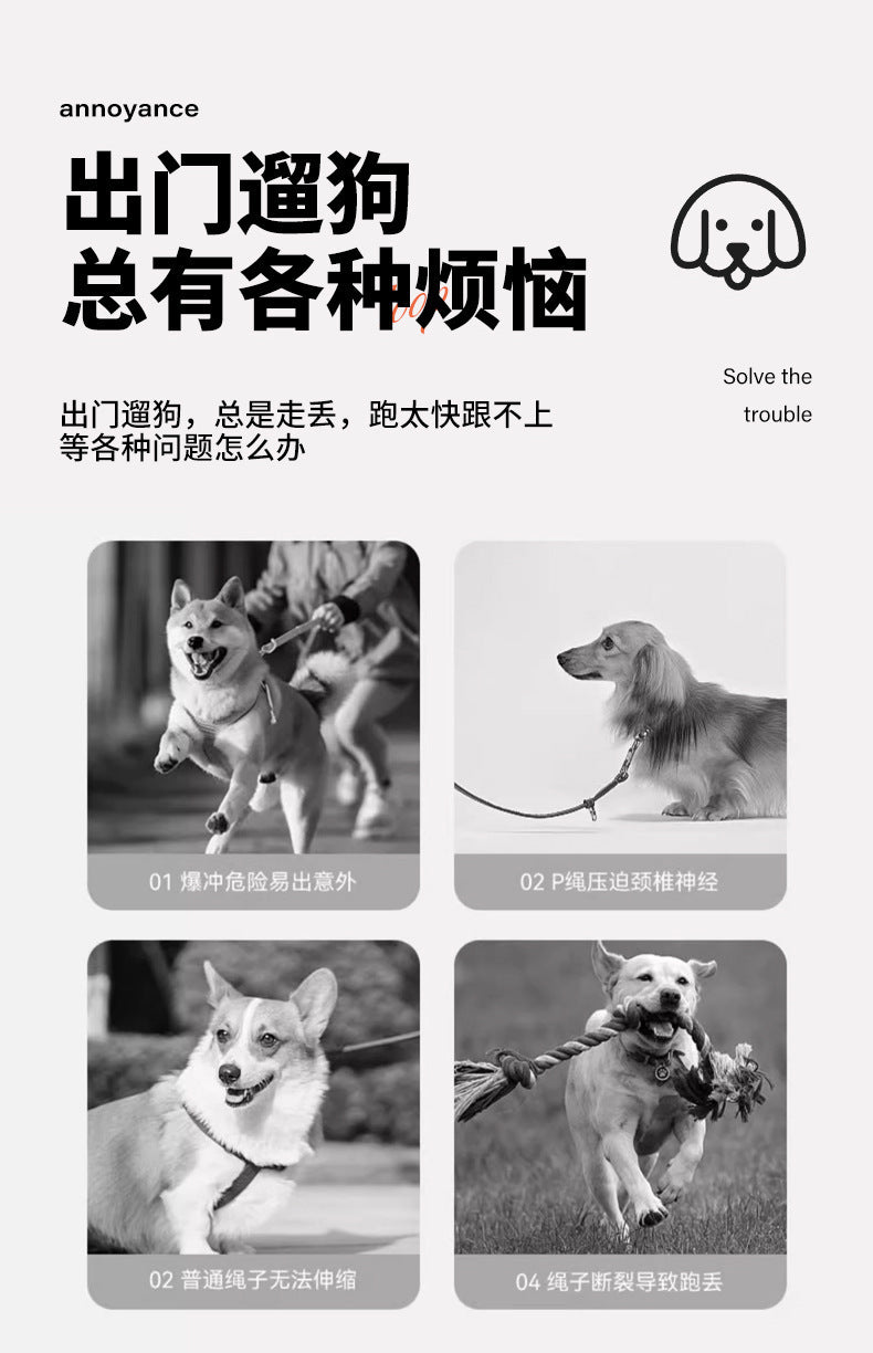 Cross-Border Hot-Selling Dog Leash Harness Outdoor Dog Walking Automatic Retractable Leash Corgi Shiba Inu Wholesale